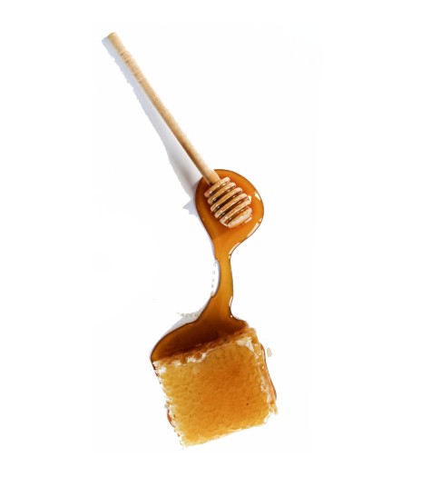 Bienenwabe mit Honig